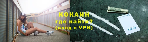 эйфоретик Вяземский
