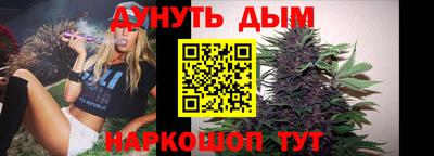скорость Дубна