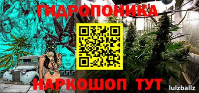 скорость Дубна