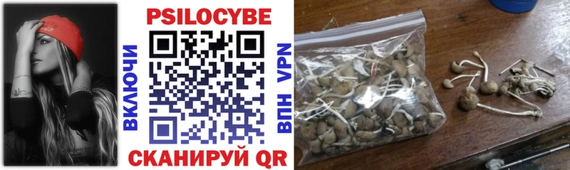 Псилоцибиновые грибы Cubensis Ковров