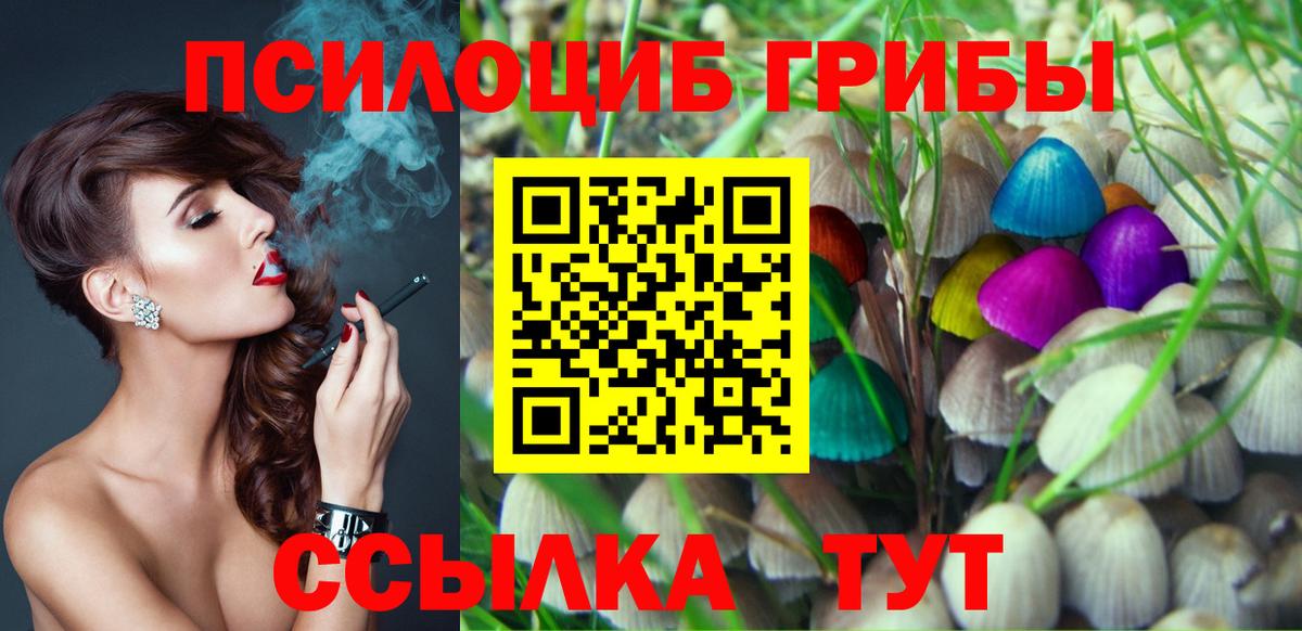 Псилоцибиновые грибы Psilocybine cubensis  Вход с VPN  Псилоцибиновые грибы Cubensis  Ковров 