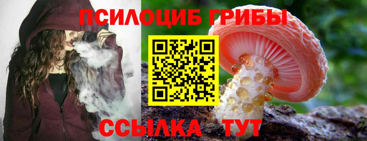 Псилоцибиновые грибы Magic Shrooms Ковров